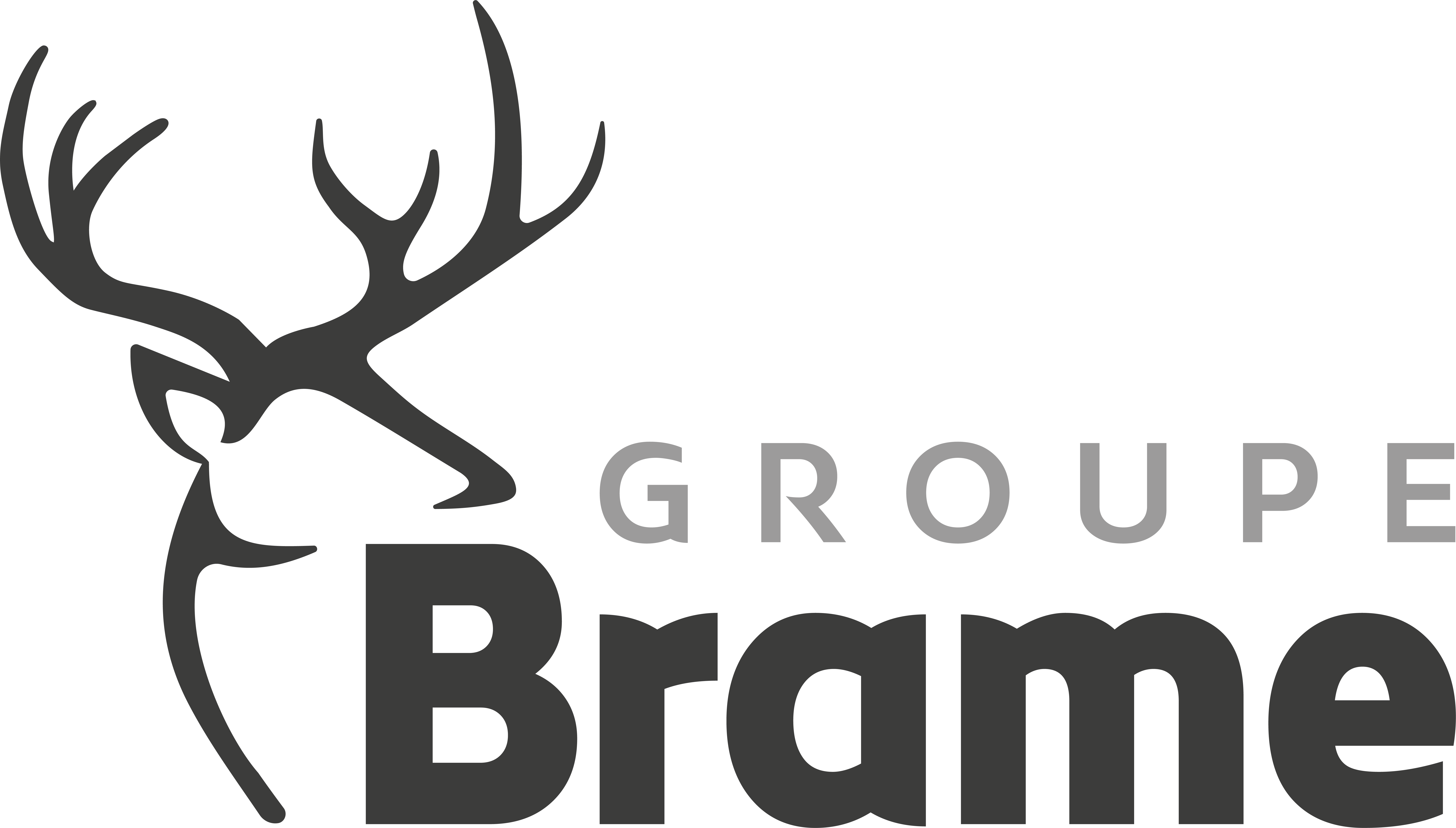 Groupe Brame