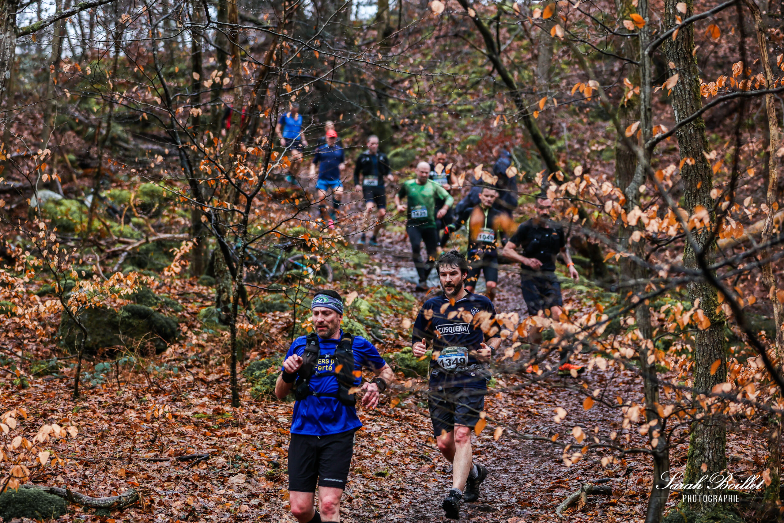 Trail des Carriers – forêt de Fontainebleau