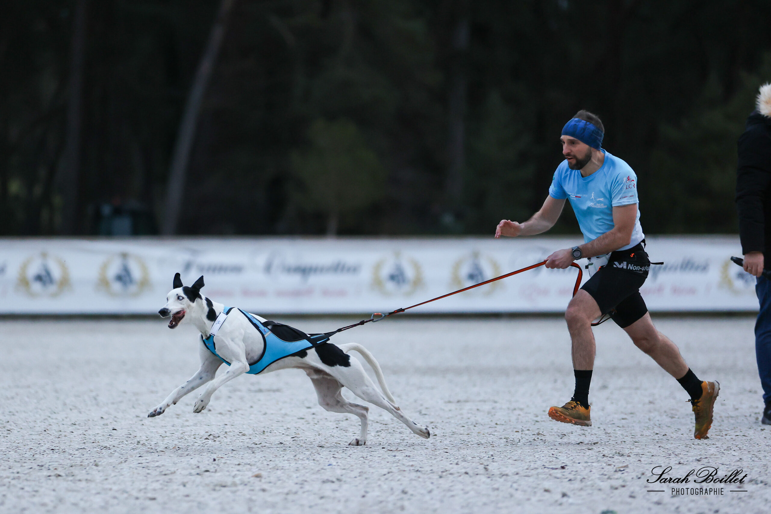 Cani-cross au Grand Parquet - Fontainebleau Outdoor Festival